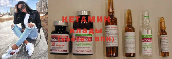 шишки Козельск