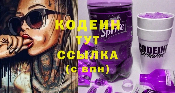 шишки Козельск