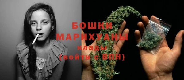 шишки Козельск