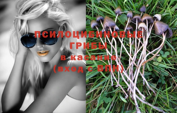 мдпв Коряжма