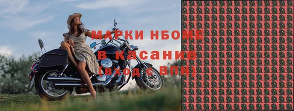 шишки Козельск