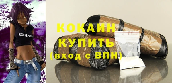 шишки Козельск