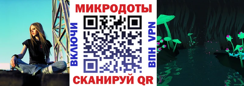 сколько стоит  Кирсанов  Псилоцибиновые грибы мицелий 